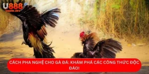 cách pha nghệ cho gà đá