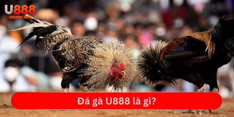 da-ga-u888-la-gi